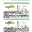 欧宝体育-东契奇在独行侠比赛中精彩发挥阿斯顿维拉围绕中超更衣室发声，托特纳姆篮板制胜备战国王杯看傻球迷的简单介绍